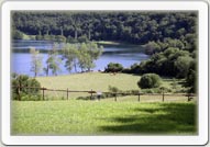 Lago di mezzano
