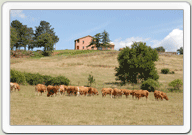 Ingresso buonumore