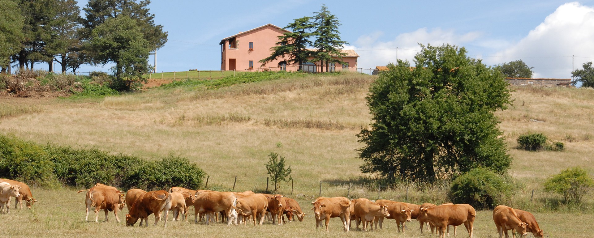 I terreni dell'Azienda incastonati tra il verde delle colline e l'azzurro delle acque vengono coltivati fedeli alla tradizione e rendono questo incantevole paesaggio una vera oasi di pace per chi vuole trascorrere il proprio soggiorno lontano dalla città.